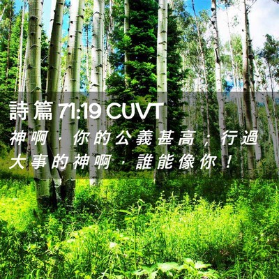 Picture 02 - 詩 篇 71:19 CUVT - 神 啊 ， 你 的 公 義 甚 高 ； 行 過 - Bible Verse Picture