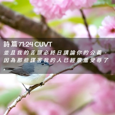 Picture 02 - 詩 篇 71:24 CUVT - 並 且 我 的 舌 頭 必 終 日 講 論 你 - Bible Verse Picture