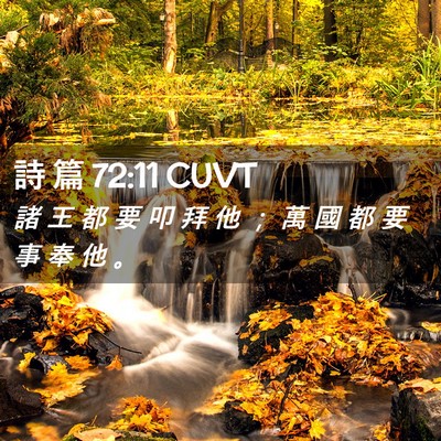 Picture 02 - 詩 篇 72:11 CUVT - 諸 王 都 要 叩 拜 他 ； 萬 國 都 要 - Bible Verse Picture