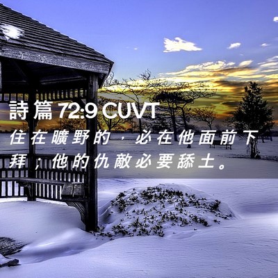 Picture 02 - 詩 篇 72:9 CUVT - 住 在 曠 野 的 ， 必 在 他 面 前 下 - Bible Verse Picture