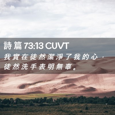 Picture 02 - 詩 篇 73:13 CUVT - 我 實 在 徒 然 潔 淨 了 我 的 心 ， - Bible Verse Picture
