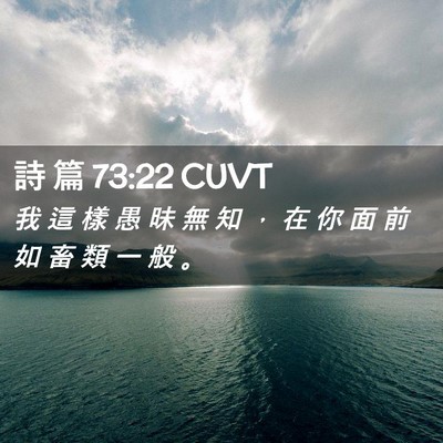 Picture 02 - 詩 篇 73:22 CUVT - 我 這 樣 愚 昧 無 知 ， 在 你 面 前 - Bible Verse Picture