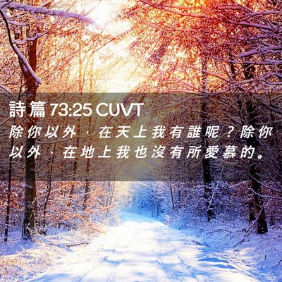 Picture 02 - 詩 篇 73:25 CUVT - 除 你 以 外 ， 在 天 上 我 有 誰 呢 - Bible Verse Picture