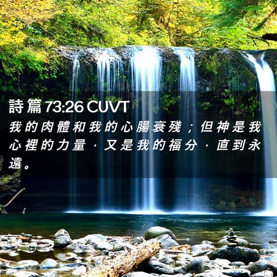 Picture 02 - 詩 篇 73:26 CUVT - 我 的 肉 體 和 我 的 心 腸 衰 殘 ； - Bible Verse Picture
