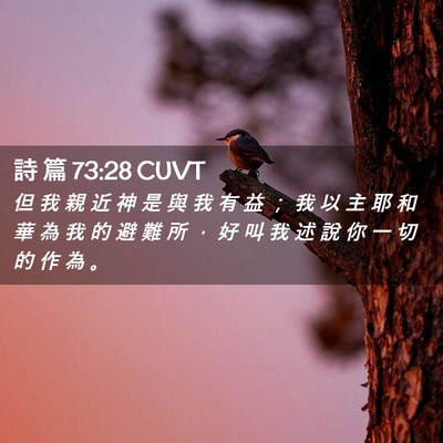 Picture 02 - 詩 篇 73:28 CUVT - 但 我 親 近 神 是 與 我 有 益 ； 我 - Bible Verse Picture