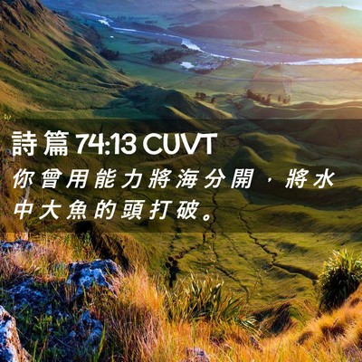 Picture 02 - 詩 篇 74:13 CUVT - 你 曾 用 能 力 將 海 分 開 ， 將 水 - Bible Verse Picture