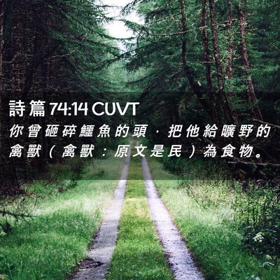 Picture 02 - 詩 篇 74:14 CUVT - 你 曾 砸 碎 鱷 魚 的 頭 ， 把 他 給 - Bible Verse Picture