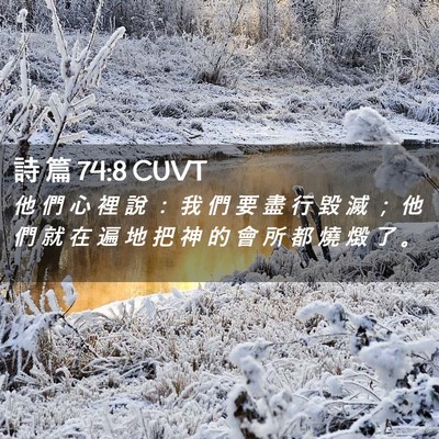 Picture 02 - 詩 篇 74:8 CUVT - 他 們 心 裡 說 ： 我 們 要 盡 行 毀 - Bible Verse Picture