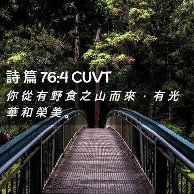Picture 02 - 詩 篇 76:4 CUVT - 你 從 有 野 食 之 山 而 來 ， 有 光 - Bible Verse Picture