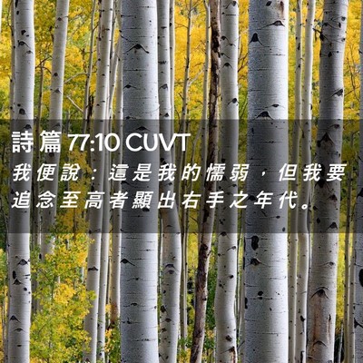 Picture 02 - 詩 篇 77:10 CUVT - 我 便 說 ： 這 是 我 的 懦 弱 ， 但 - Bible Verse Picture