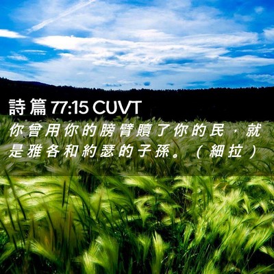 Picture 02 - 詩 篇 77:15 CUVT - 你 曾 用 你 的 膀 臂 贖 了 你 的 民 - Bible Verse Picture