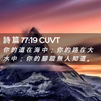 Picture 02 - 詩 篇 77:19 CUVT - 你 的 道 在 海 中 ； 你 的 路 在 大 - Bible Verse Picture