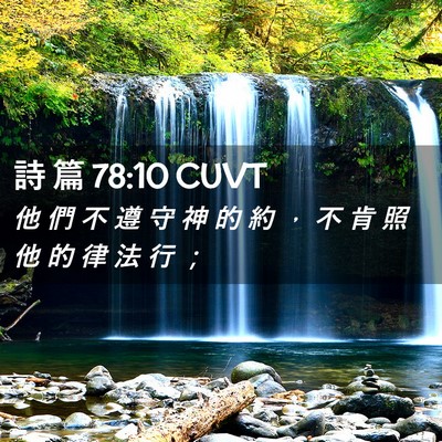 Picture 02 - 詩 篇 78:10 CUVT - 他 們 不 遵 守 神 的 約 ， 不 肯 照 - Bible Verse Picture
