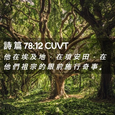 Picture 02 - 詩 篇 78:12 CUVT - 他 在 埃 及 地 ， 在 瑣 安 田 ， 在 - Bible Verse Picture