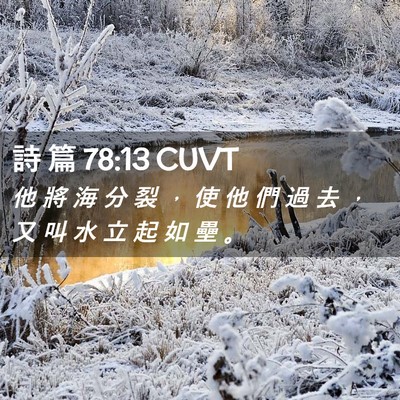 Picture 02 - 詩 篇 78:13 CUVT - 他 將 海 分 裂 ， 使 他 們 過 去 ， - Bible Verse Picture