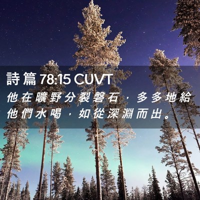 Picture 02 - 詩 篇 78:15 CUVT - 他 在 曠 野 分 裂 磐 石 ， 多 多 地 - Bible Verse Picture