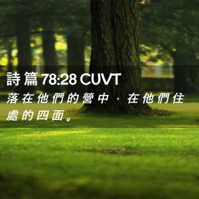 Picture 02 - 詩 篇 78:28 CUVT - 落 在 他 們 的 營 中 ， 在 他 們 住 - Bible Verse Picture