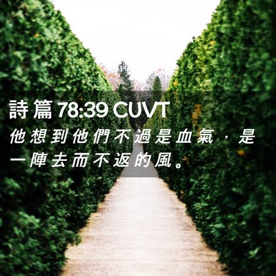 Picture 02 - 詩 篇 78:39 CUVT - 他 想 到 他 們 不 過 是 血 氣 ， 是 - Bible Verse Picture