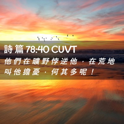 Picture 02 - 詩 篇 78:40 CUVT - 他 們 在 曠 野 悖 逆 他 ， 在 荒 地 - Bible Verse Picture