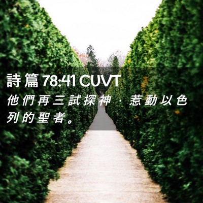 Picture 02 - 詩 篇 78:41 CUVT - 他 們 再 三 試 探 神 ， 惹 動 以 色 - Bible Verse Picture