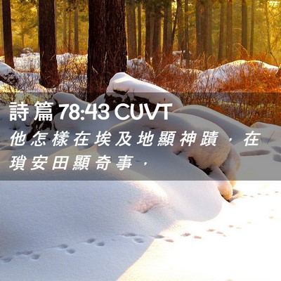 Picture 02 - 詩 篇 78:43 CUVT - 他 怎 樣 在 埃 及 地 顯 神 蹟 ， 在 - Bible Verse Picture