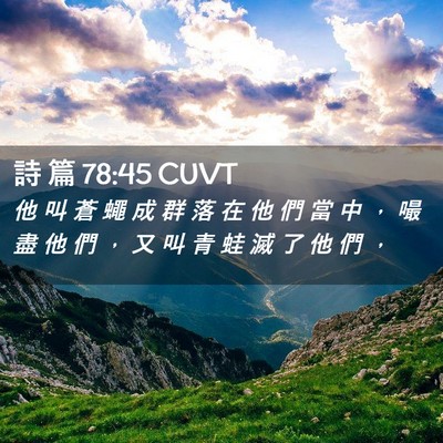 Picture 02 - 詩 篇 78:45 CUVT - 他 叫 蒼 蠅 成 群 落 在 他 們 當 中 - Bible Verse Picture