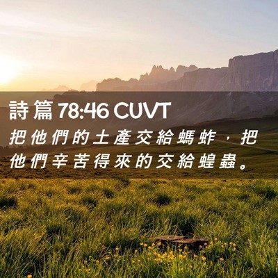Picture 02 - 詩 篇 78:46 CUVT - 把 他 們 的 土 產 交 給 螞 蚱 ， 把 - Bible Verse Picture