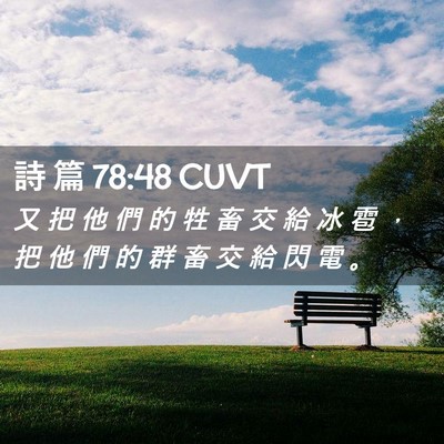 Picture 02 - 詩 篇 78:48 CUVT - 又 把 他 們 的 牲 畜 交 給 冰 雹 ， - Bible Verse Picture