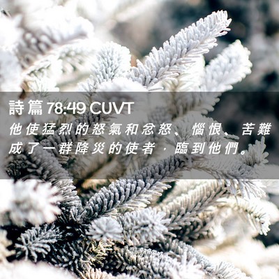 Picture 02 - 詩 篇 78:49 CUVT - 他 使 猛 烈 的 怒 氣 和 忿 怒 、 惱 - Bible Verse Picture