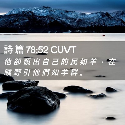 Picture 02 - 詩 篇 78:52 CUVT - 他 卻 領 出 自 己 的 民 如 羊 ， 在 - Bible Verse Picture