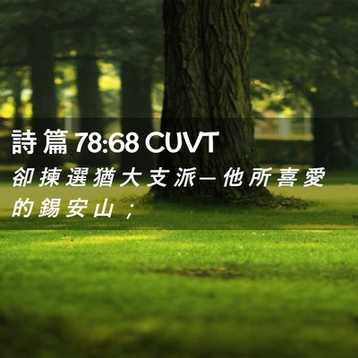 Picture 02 - 詩 篇 78:68 CUVT - 卻 揀 選 猶 大 支 派 ─ 他 所 喜 愛 - Bible Verse Picture