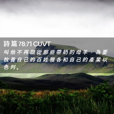 Picture 02 - 詩 篇 78:71 CUVT - 叫 他 不 再 跟 從 那 些 帶 奶 的 母 - Bible Verse Picture