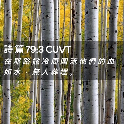 Picture 02 - 詩 篇 79:3 CUVT - 在 耶 路 撒 冷 周 圍 流 他 們 的 血 - Bible Verse Picture