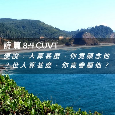 Picture 02 - 詩 篇 8:4 CUVT - 便 說 ： 人 算 甚 麼 ， 你 竟 顧 念 - Bible Verse Picture