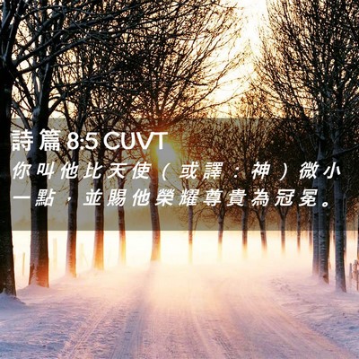 Picture 02 - 詩 篇 8:5 CUVT - 你 叫 他 比 天 使 （ 或 譯 ： 神 ） - Bible Verse Picture