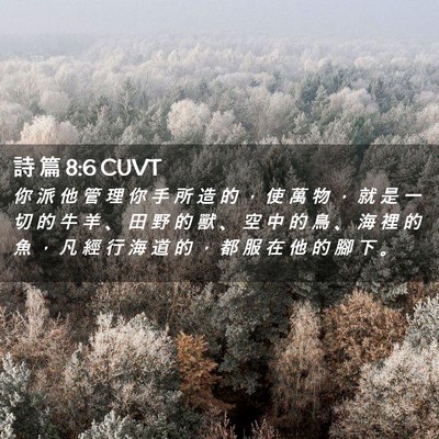 Picture 02 - 詩 篇 8:6 CUVT - 你 派 他 管 理 你 手 所 造 的 ， 使 - Bible Verse Picture