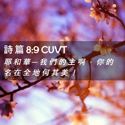 Picture 02 - 詩 篇 8:9 CUVT - 耶 和 華 ─ 我 們 的 主 啊 ， 你 的 - Bible Verse Picture