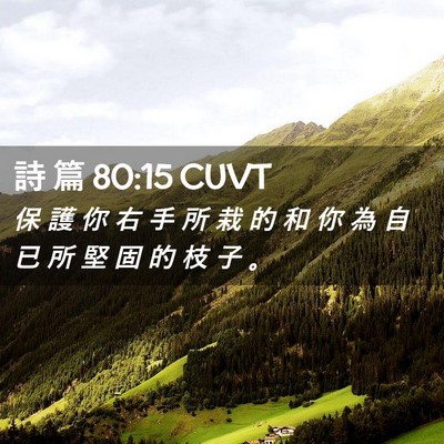 Picture 02 - 詩 篇 80:15 CUVT - 保 護 你 右 手 所 栽 的 和 你 為 自 - Bible Verse Picture