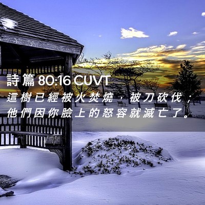 Picture 02 - 詩 篇 80:16 CUVT - 這 樹 已 經 被 火 焚 燒 ， 被 刀 砍 - Bible Verse Picture