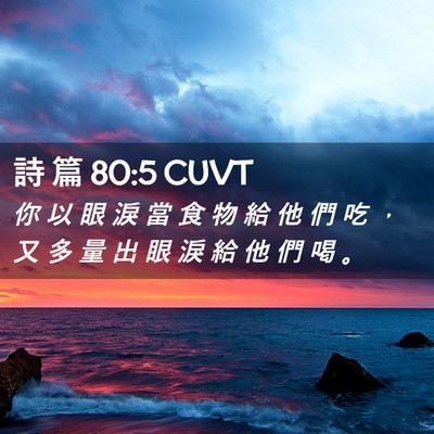 Picture 02 - 詩 篇 80:5 CUVT - 你 以 眼 淚 當 食 物 給 他 們 吃 ， - Bible Verse Picture