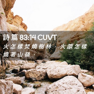 Picture 02 - 詩 篇 83:14 CUVT - 火 怎 樣 焚 燒 樹 林 ， 火 燄 怎 樣 - Bible Verse Picture