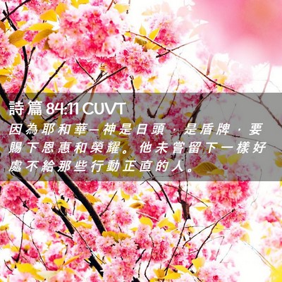 Picture 02 - 詩 篇 84:11 CUVT - 因 為 耶 和 華 ─ 神 是 日 頭 ， 是 - Bible Verse Picture