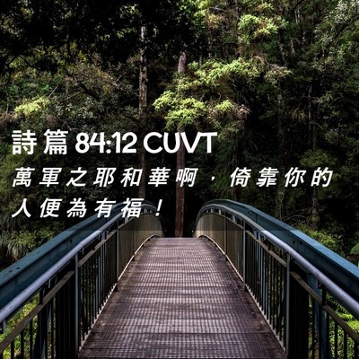 Picture 02 - 詩 篇 84:12 CUVT - 萬 軍 之 耶 和 華 啊 ， 倚 靠 你 的 - Bible Verse Picture
