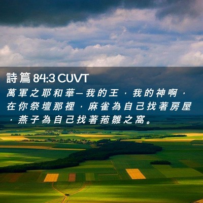 Picture 02 - 詩 篇 84:3 CUVT - 萬 軍 之 耶 和 華 ─ 我 的 王 ， 我 - Bible Verse Picture