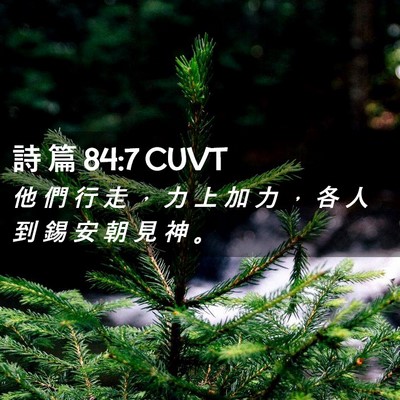 Picture 02 - 詩 篇 84:7 CUVT - 他 們 行 走 ， 力 上 加 力 ， 各 人 - Bible Verse Picture