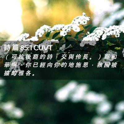 Picture 02 - 詩 篇 85:1 CUVT - （ 可 拉 後 裔 的 詩 ， 交 與 伶 長 - Bible Verse Picture