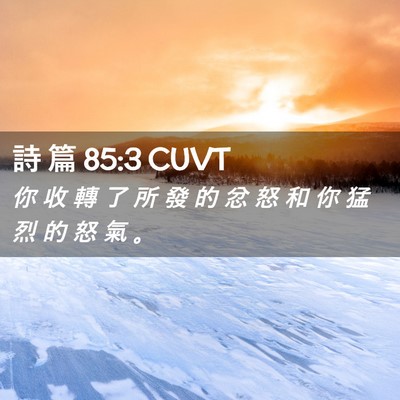 Picture 02 - 詩 篇 85:3 CUVT - 你 收 轉 了 所 發 的 忿 怒 和 你 猛 - Bible Verse Picture