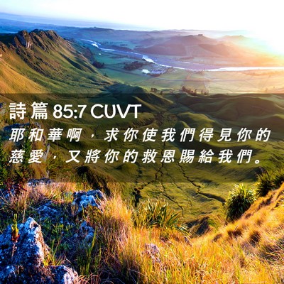 Picture 02 - 詩 篇 85:7 CUVT - 耶 和 華 啊 ， 求 你 使 我 們 得 見 - Bible Verse Picture