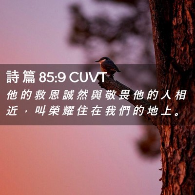 Picture 02 - 詩 篇 85:9 CUVT - 他 的 救 恩 誠 然 與 敬 畏 他 的 人 - Bible Verse Picture