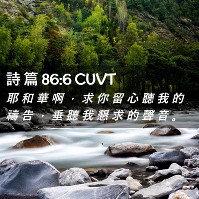 Picture 02 - 詩 篇 86:6 CUVT - 耶 和 華 啊 ， 求 你 留 心 聽 我 的 - Bible Verse Picture
